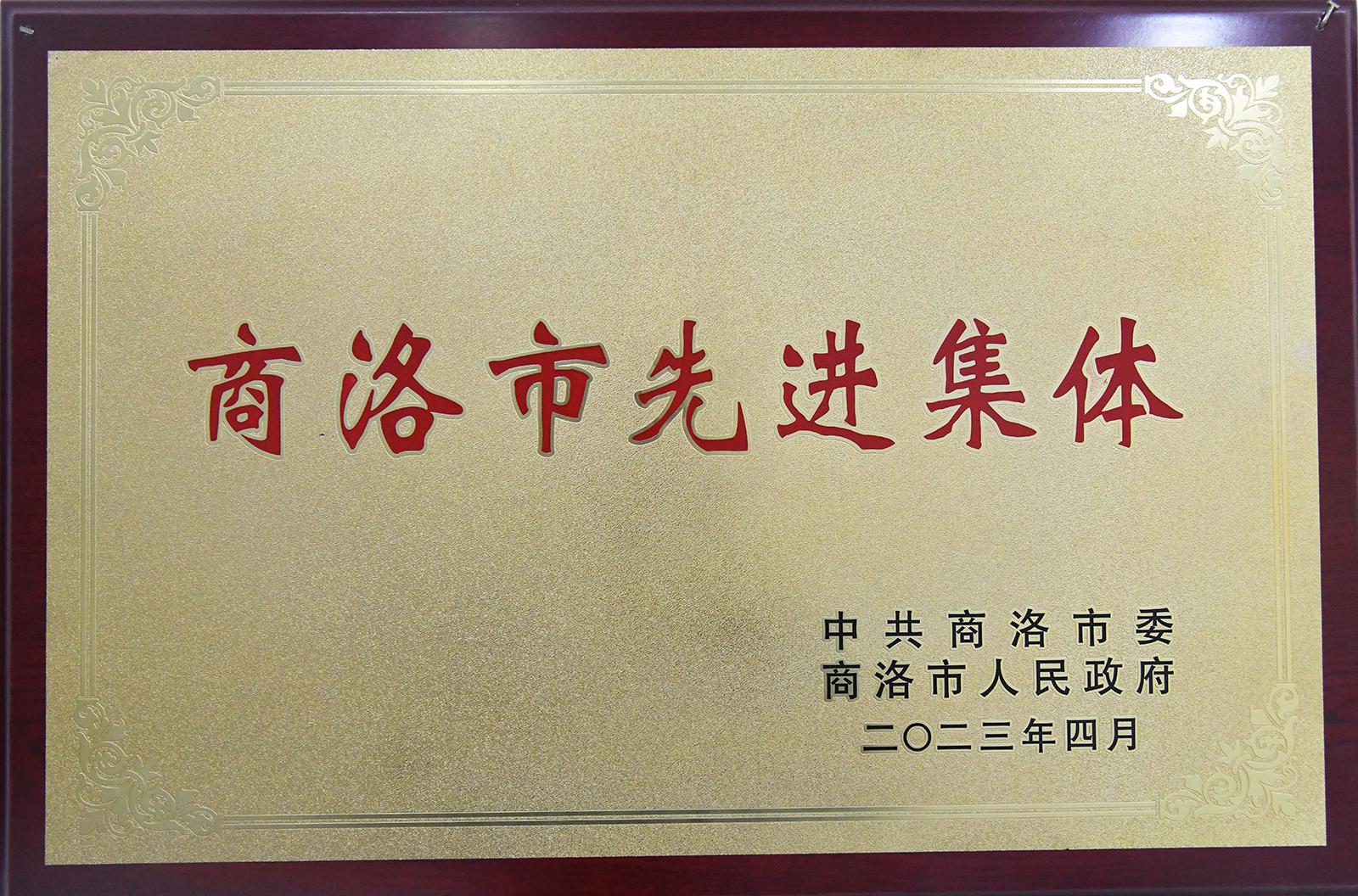 商洛市先進(jìn)集體