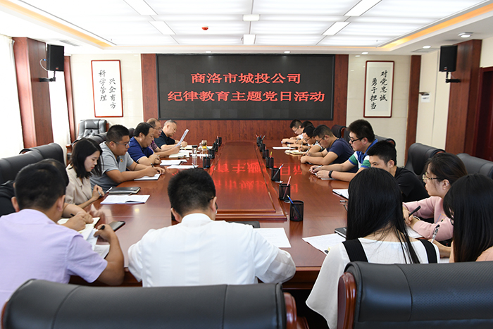 市城投公司開展&ldquo;明紀(jì)律、知敬畏、存戒懼、守底線、做表率&rdquo;紀(jì)律教育學(xué)習(xí)活動(dòng)