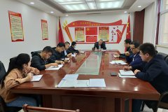 公司第二支部開展&ldquo;戴黨徽、亮身份、亮標(biāo)準(zhǔn)、亮承諾、展先鋒&rdquo;主題黨日活動(dòng)