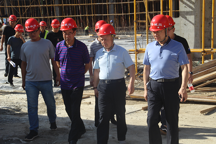 公司領(lǐng)導(dǎo)深入丹鶴綠洲項目檢查指導(dǎo)工作