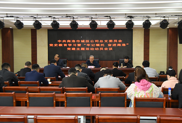 公司黨總支召開(kāi)黨史學(xué)習(xí)教育暨&ldquo;牢記囑托、奮進(jìn)商洛&rdquo;黨建主題活動(dòng)動(dòng)員會(huì)議