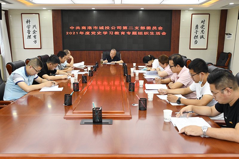 公司第二黨支部召開(kāi)2021年度黨史學(xué)習(xí)教育專題組織生活會(huì)