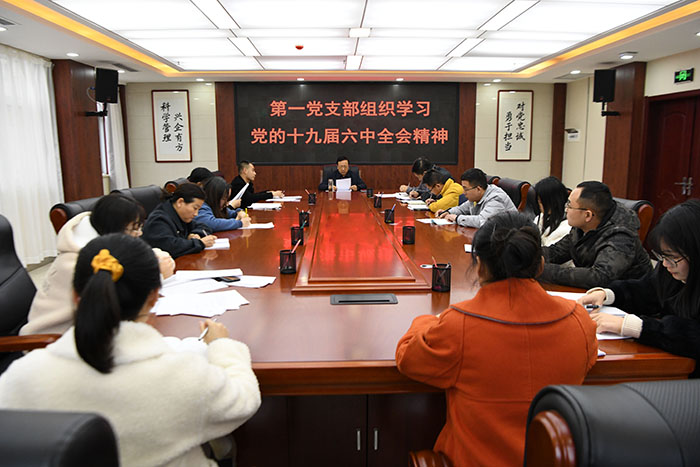 公司第一黨支部組織學(xué)習(xí)黨的十九屆六中全會精神