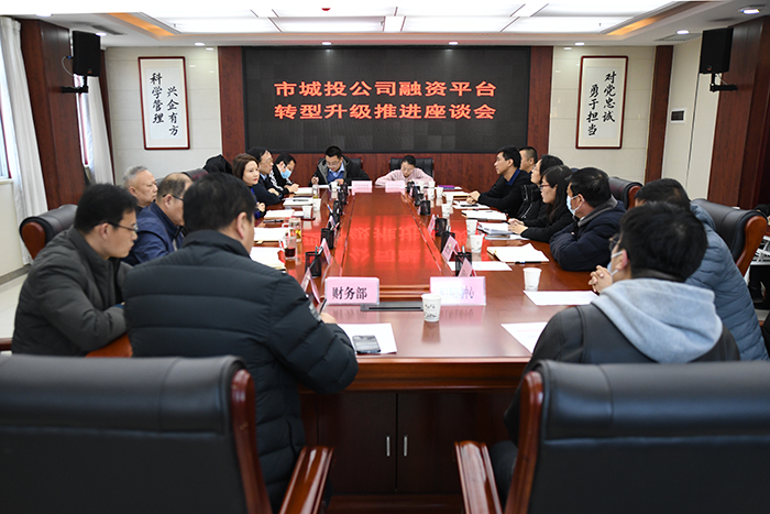 市國(guó)資委在公司召開融資平臺(tái)轉(zhuǎn)型升級(jí)推進(jìn)座談會(huì)